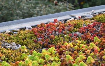 the cost of Lisnaskea green roof installation