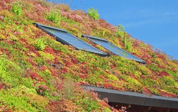 Lisnaskea living roof systems