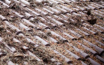 Lisnaskea roof cleaning companies