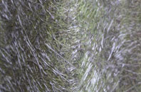 Lisnaskea fibreglass roof work